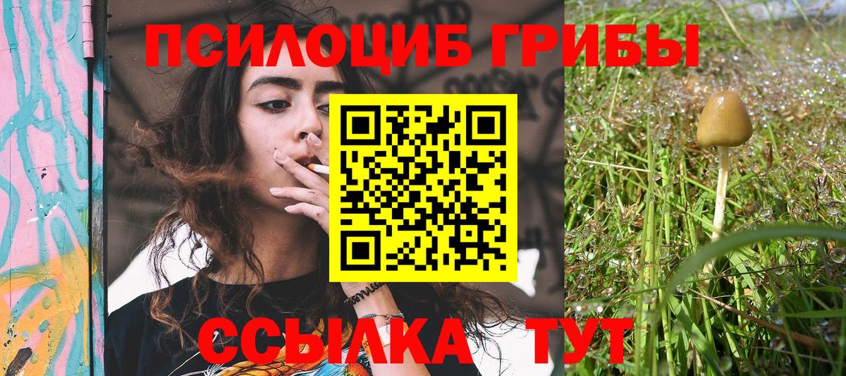 Псилоцибиновые грибы мухоморы  Псилоцибиновые грибы Psilocybine cubensis  Вход с VPN  Сочи 