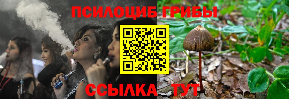 Псилоцибиновые грибы Psilocybine cubensis Сочи